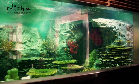 Residential Aquarium