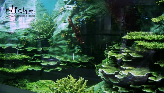Residential Aquarium