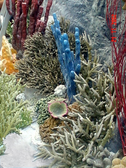 Residential Aquarium