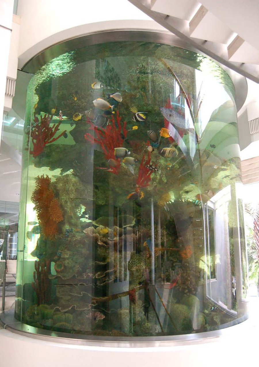 Residential Aquarium
