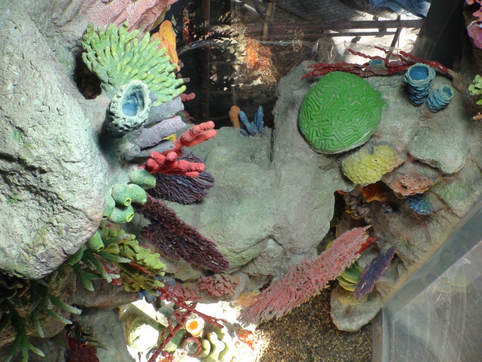 Residential Aquarium