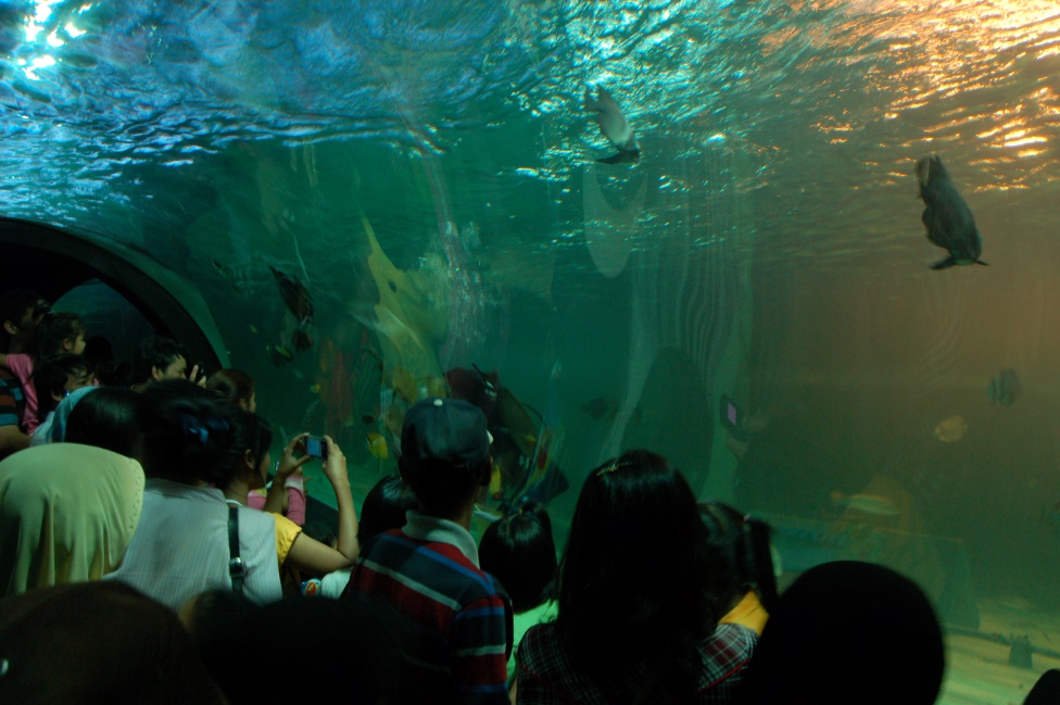 Songkhla Aquarium